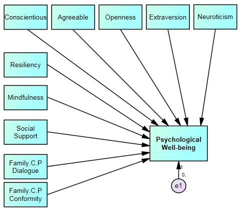 Figure 2. The hypothetical model of individual, family and social factors affecting psychological well-being